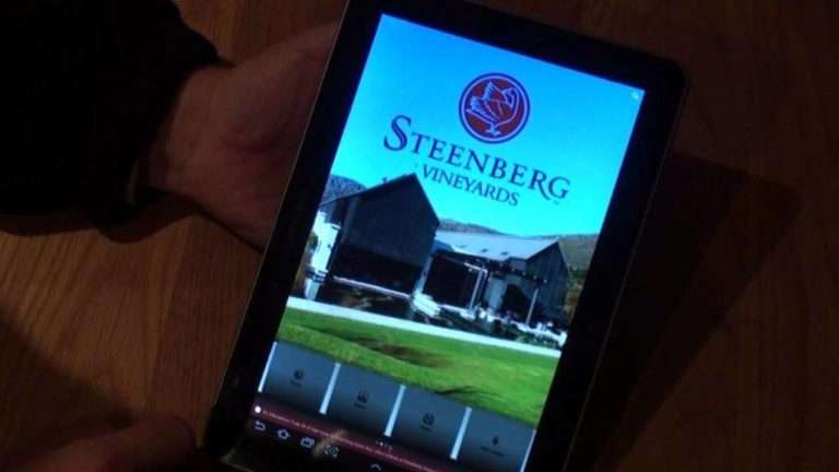 Steenberg Vineyards mobile app review