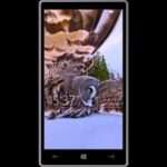 911 Review build Windows 10 Mobile 10586 by onetile.ru