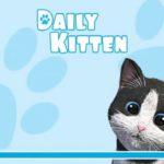 2885 Daily Kitten Virtual Cat - HD Android Gameplay - Child games - Full HD Video (1080p)