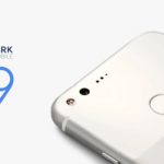 dxomark rating pixel-Google 2016