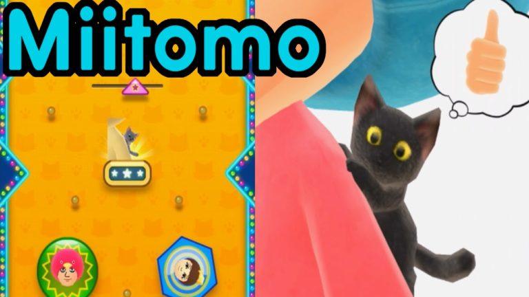 Miitomo App Gameplay Walkthrough PART 2 Cat Companion! Miitomo Drop My Nintendo Mobile iOS Android