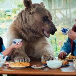 23846 Большой, плюшевый, твой: история медведя Степана, который живет в российской семье