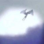 115917 В Дагестане на видео сняли пришельца
