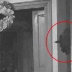 117969 Камера наблюдения в доме сняла демона