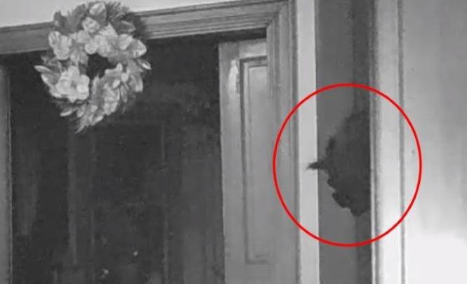Камера наблюдения в доме сняла демона