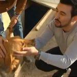 121639 Парень из Баку спас уже 350 искалеченных собак!