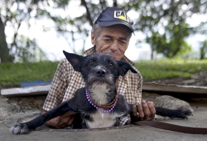 homeless-dogs-unconditional-love-best-friend-35__700