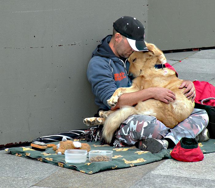 homeless-dogs-unconditional-love-best-friend-41__700
