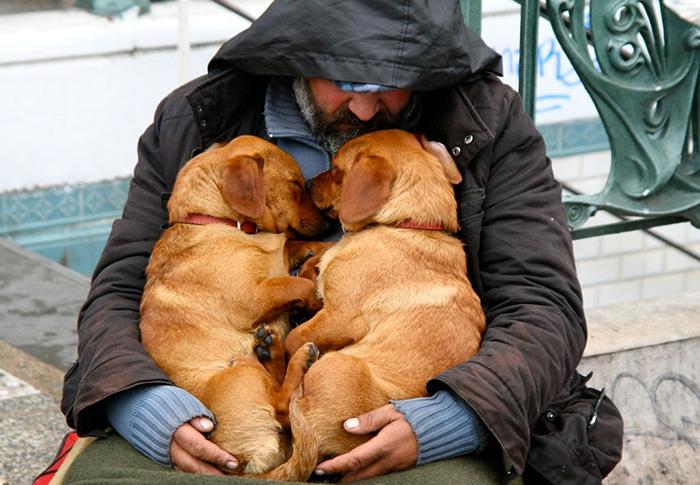 homeless-dogs-unconditional-love-best-friend-46__700